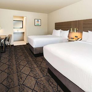 Suite Two Double Beds Non-Smoking